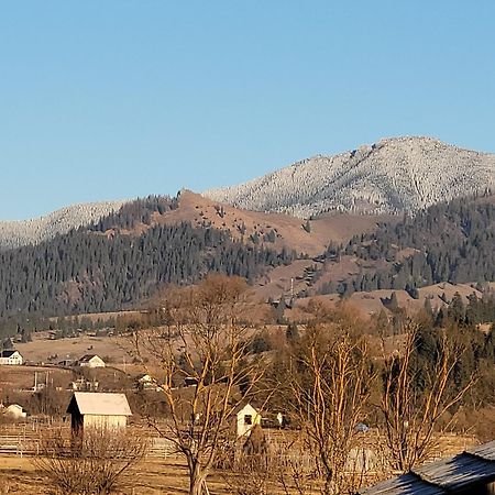 Casa Abp Villa Vatra Dornei Bagian luar foto