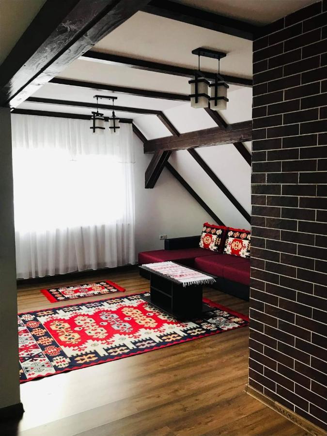 Casa Abp Villa Vatra Dornei Bagian luar foto