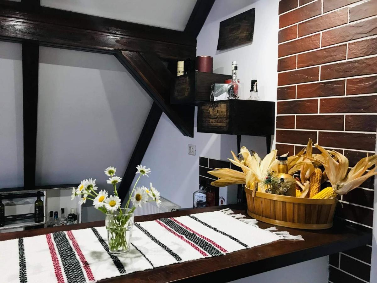 Casa Abp Villa Vatra Dornei Bagian luar foto