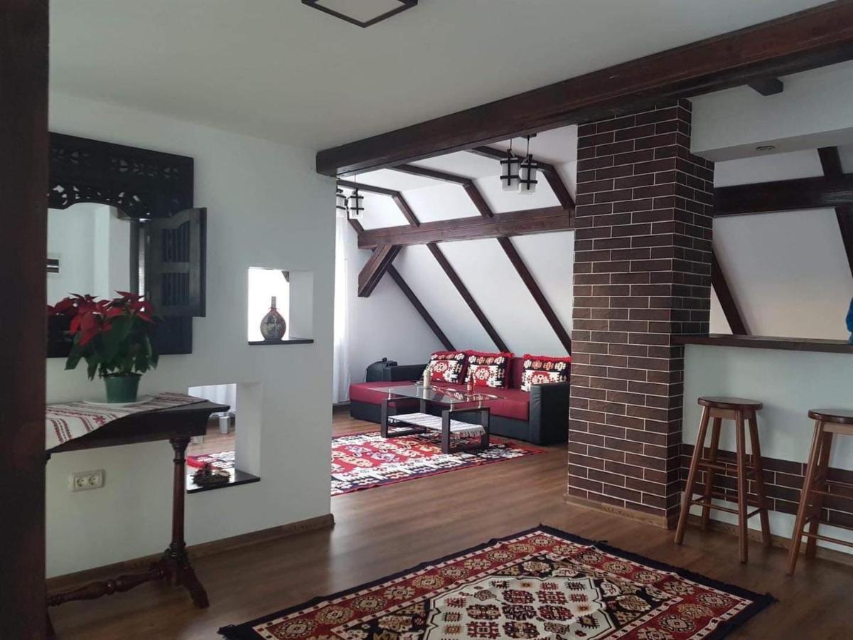 Casa Abp Villa Vatra Dornei Bagian luar foto